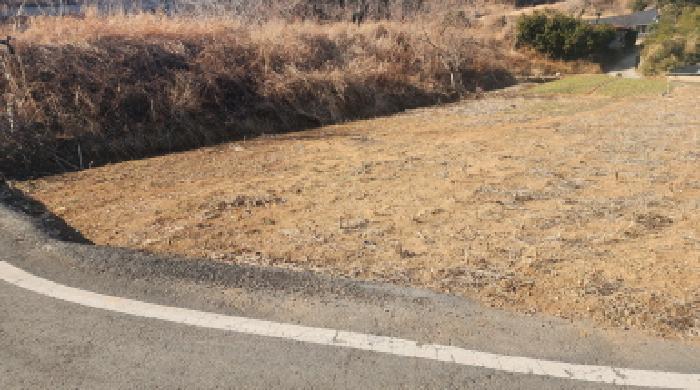 전라남도 고흥군 두원면 대금리 848-1 답 경매 사진 14