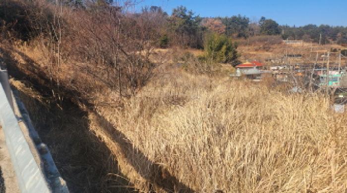 전라남도 고흥군 두원면 대금리 848-1 답 경매 사진 15
