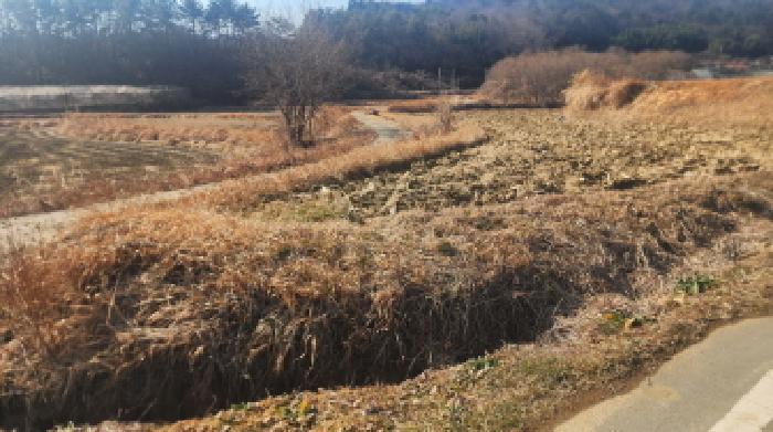 전라남도 고흥군 두원면 대금리 848-1 답 경매 사진 16