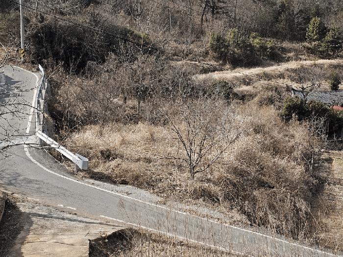 전라남도 고흥군 두원면 대금리 848-1 답 경매 사진 3
