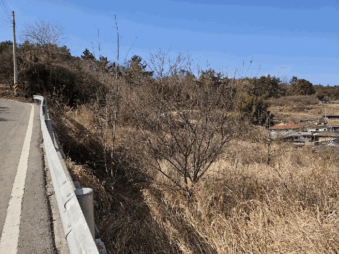 전라남도 고흥군 두원면 대금리 848-1 답 경매 사진 4
