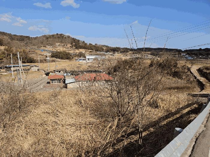 전라남도 고흥군 두원면 대금리 848-1 답 경매 사진 5