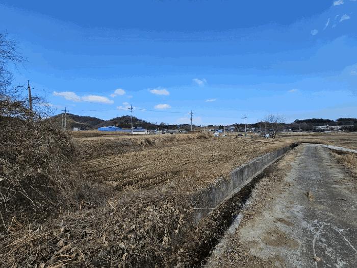 전라남도 고흥군 두원면 대금리 848-1 답 경매 사진 9