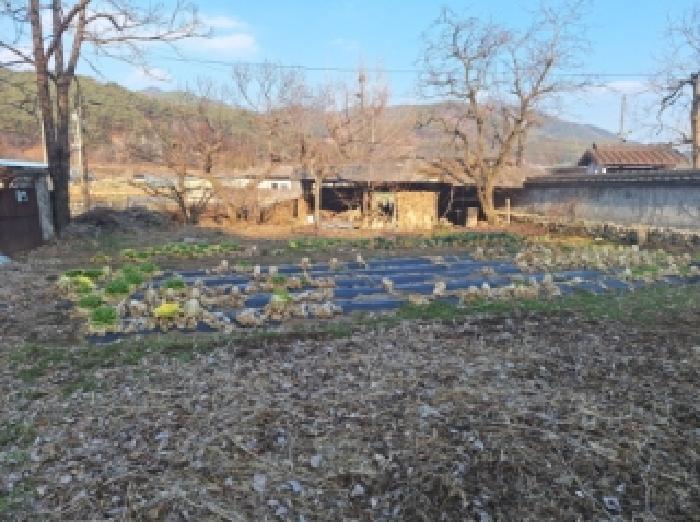 전라남도 순천시 승주읍 구강리 산107-1 임야 경매 사진 14