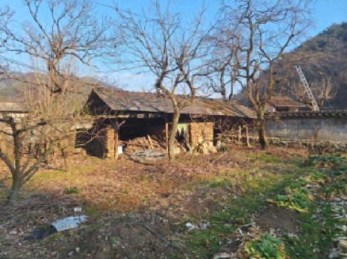 전라남도 순천시 승주읍 구강리 산107-1 임야 경매 사진 15