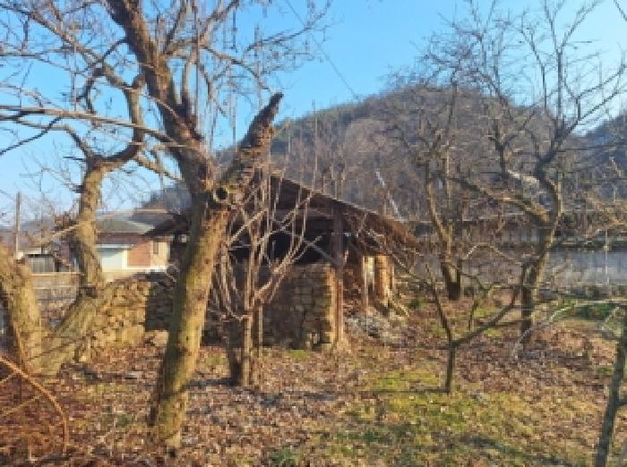 전라남도 순천시 승주읍 구강리 산107-1 임야 경매 사진 18