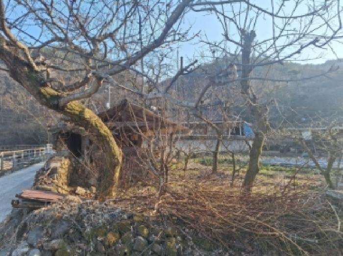전라남도 순천시 승주읍 구강리 산107-1 임야 경매 사진 19