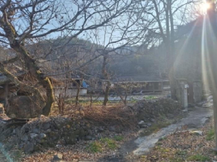 전라남도 순천시 승주읍 구강리 산107-1 임야 경매 사진 20