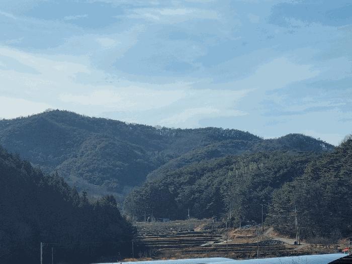 전라남도 순천시 승주읍 구강리 산107-1 임야 경매 사진 4
