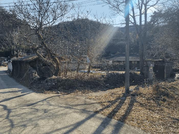 전라남도 순천시 승주읍 구강리 산107-1 임야 경매 사진 5
