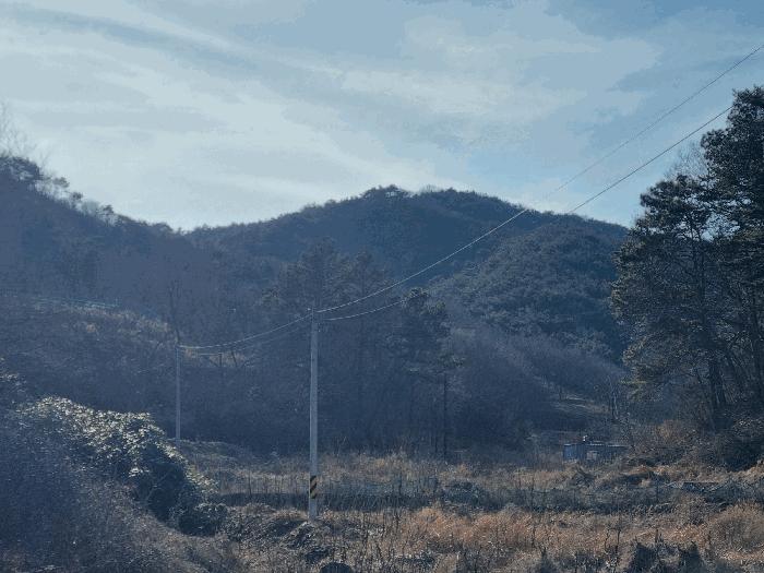 전라남도 순천시 승주읍 구강리 산107-1 임야 경매 사진 8