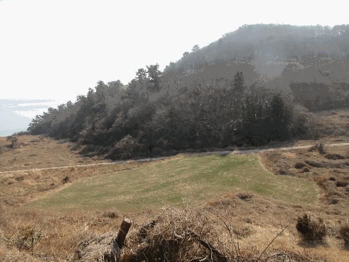 전라남도 고흥군 임야