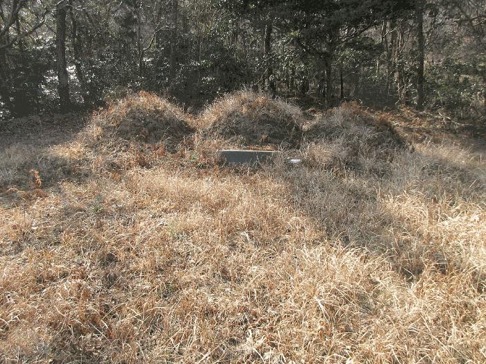 전라남도 고흥군 금산면 신평리 산18-1 임야 경매 사진 4