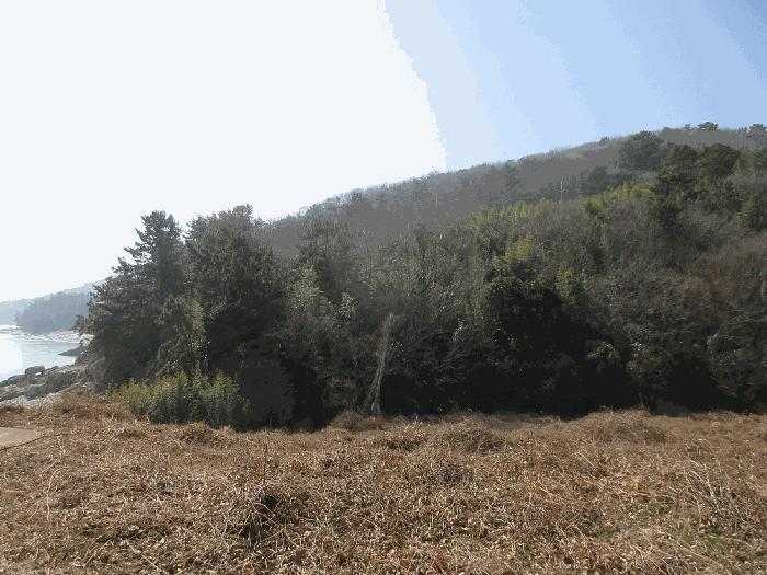전라남도 고흥군 금산면 신평리 산18-1 임야 경매 사진 5