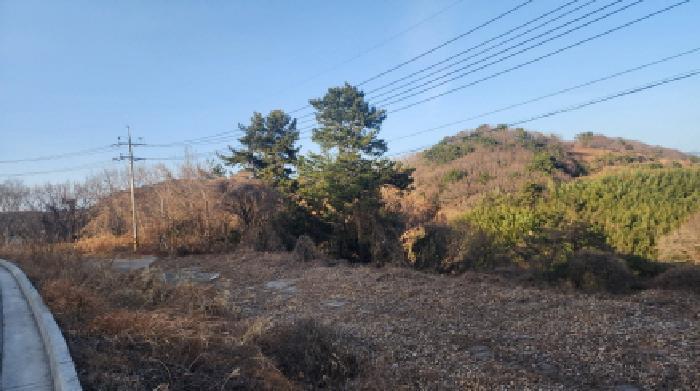 전라남도 고흥군 금산면 신평리 산18-1 임야 경매 사진 8