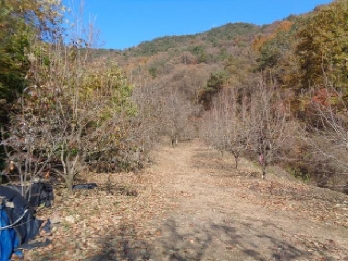 전북특별자치도 완주군 경천면 용복리 636 전 경매 사진 16