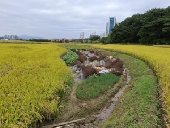 경상남도 사천시 사남면 월성리 242-2 답 경매 사진 11