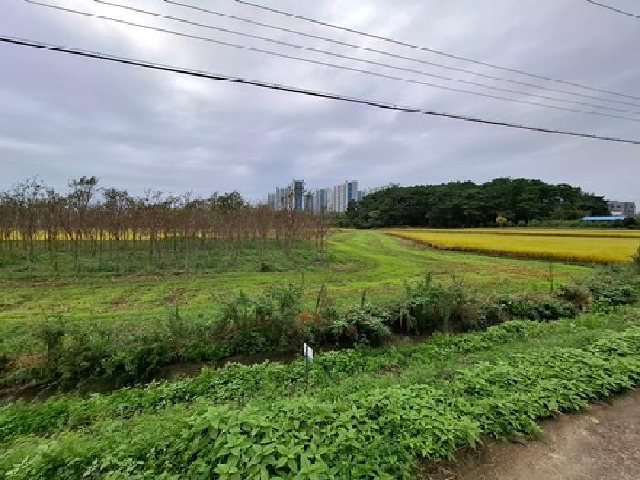 경상남도 사천시 사남면 월성리 242-2 답 경매 사진 12
