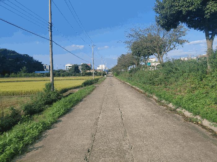 경상남도 사천시 사남면 월성리 242-2 답 경매 사진 5
