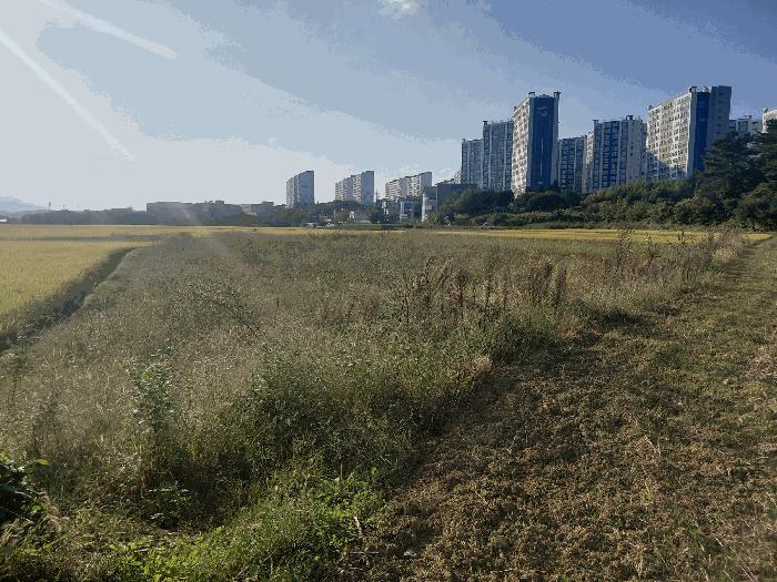 경상남도 사천시 사남면 월성리 242-2 답 경매 사진 7