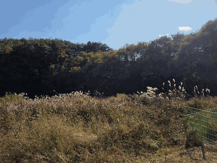 경상남도 산청군 신등면 양전리 350 답 경매 사진 1