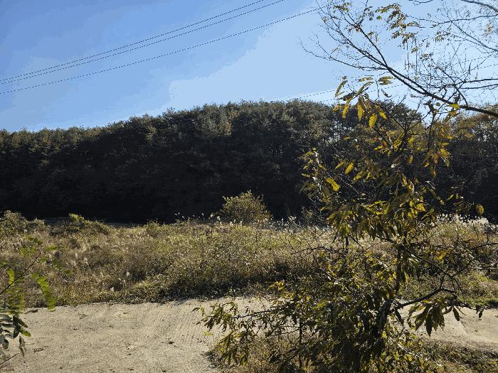 경상남도 산청군 신등면 양전리 350 답 경매 사진 3