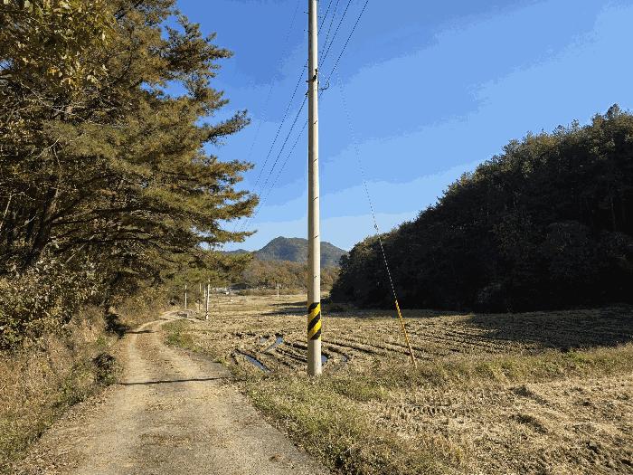 경상남도 산청군 신등면 양전리 350 답 경매 사진 4