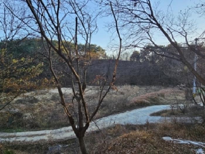 경상남도 산청군 신등면 양전리 350 답 경매 사진 5