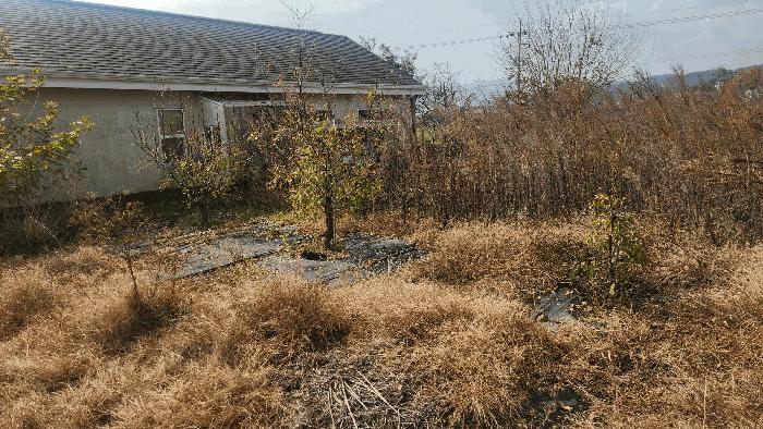 경상남도 남해군 이동면 화계리 293-3 전 경매 사진 3