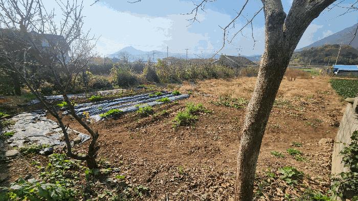경상남도 남해군 이동면 화계리 293-3 전 경매 사진 4
