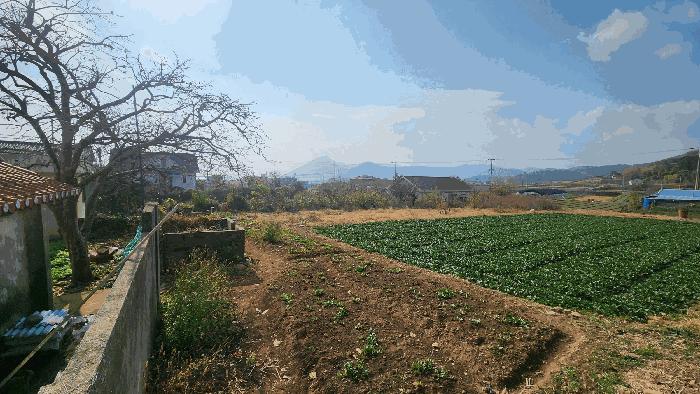 경상남도 남해군 이동면 화계리 293-3 전 경매 사진 5