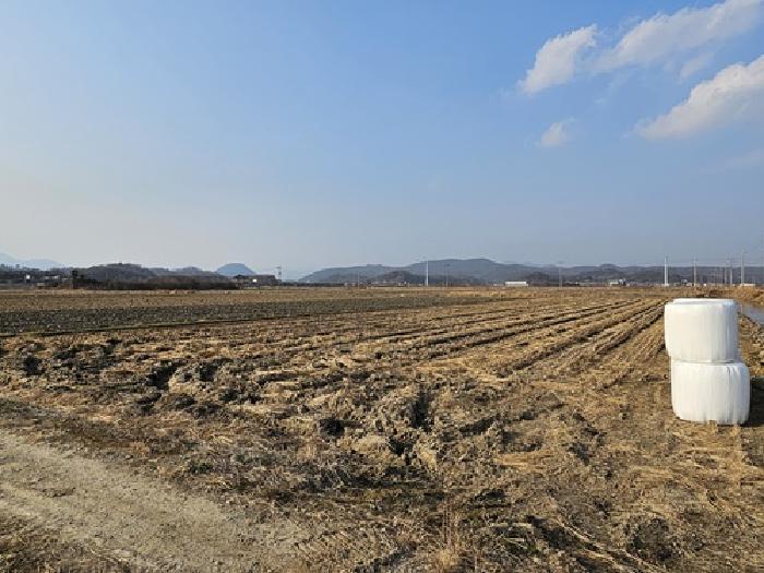 경상남도 하동군 금성면 갈사리 1056-1 답 경매 사진 5