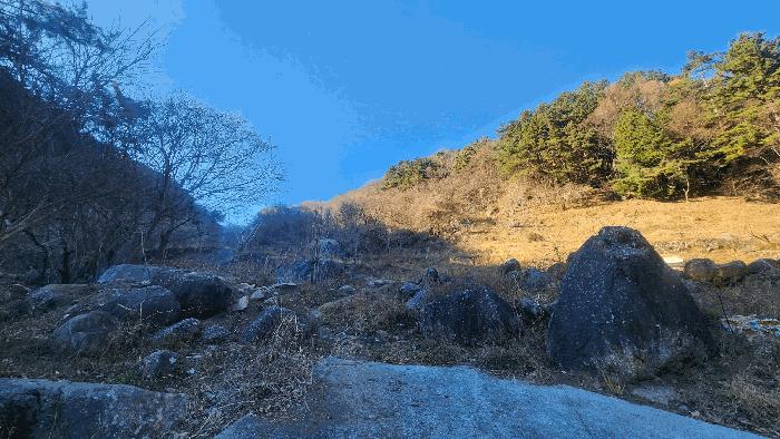 경상남도 하동군 청암면 상이리 산310 임야 경매 사진 1
