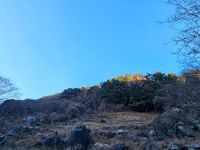 경상남도 하동군 청암면 상이리 산310 임야 경매 사진 7
