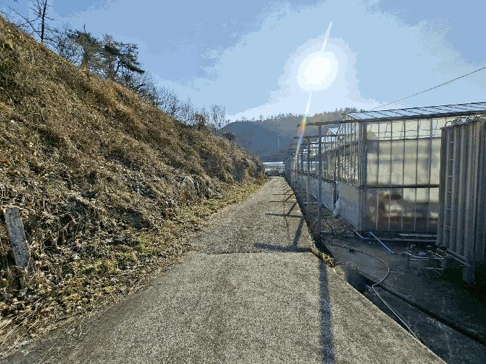 경상남도 하동군 금남면 송문리 산91-4 임야 경매 사진 13