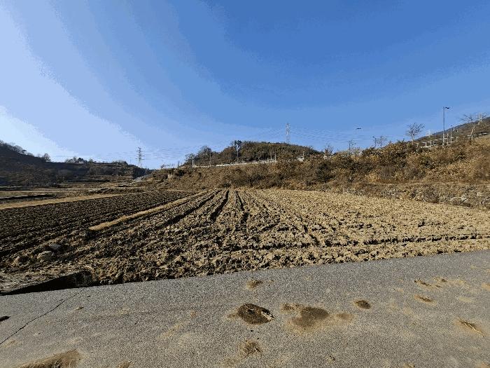 경상남도 하동군 금남면 대송리 314-5 답 경매 사진 10