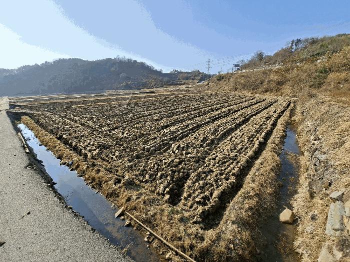 경상남도 하동군 금남면 대송리 314-5 답 경매 사진 20