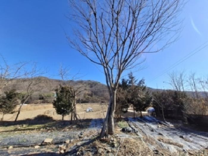 경상남도 진주시 대곡면 설매리 368 답 경매 사진 13