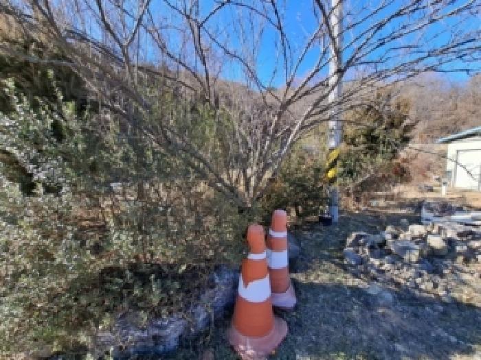 경상남도 진주시 대곡면 설매리 368 답 경매 사진 7