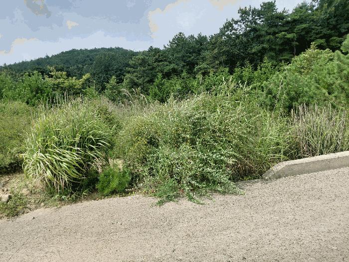 경상남도 산청군 신안면 안봉리 1051-42 대지 경매 사진 12