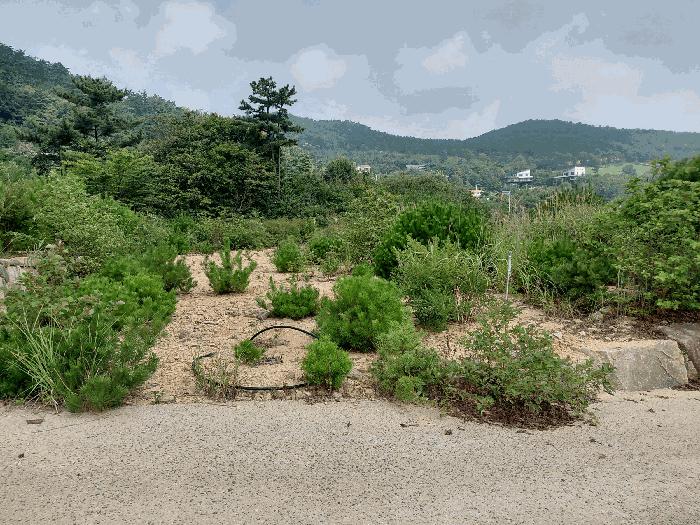 경상남도 산청군 신안면 안봉리 1051-42 대지 경매 사진 16