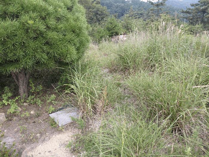경상남도 산청군 신안면 안봉리 1051-42 대지 경매 사진 17