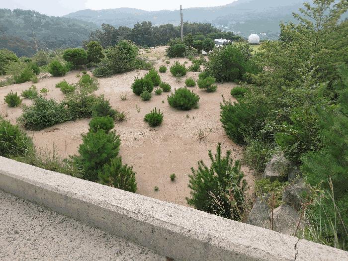 경상남도 산청군 신안면 안봉리 1051-42 대지 경매 사진 19
