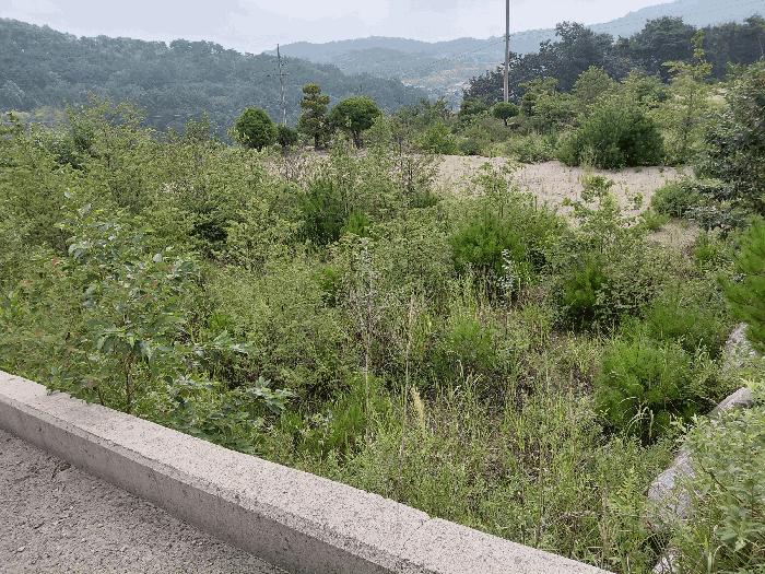 경상남도 산청군 신안면 안봉리 1051-42 대지 경매 사진 20