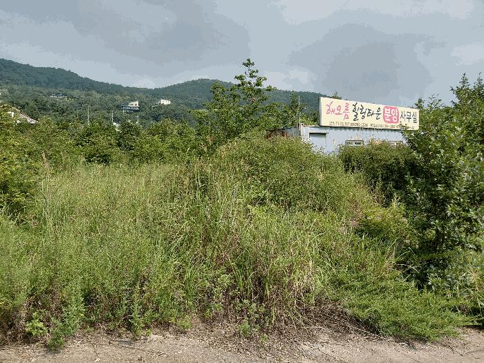 경상남도 산청군 신안면 안봉리 1051-42 대지 경매 사진 3