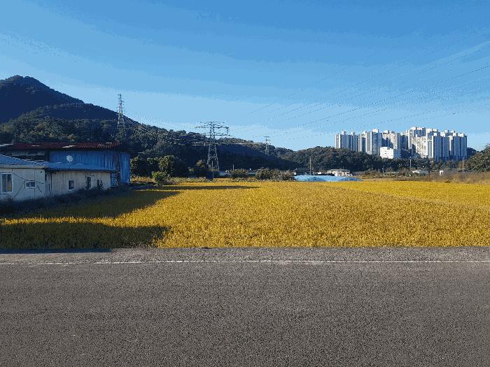 경상남도 사천시 사남면 화전리 538-2 답 경매 사진 3