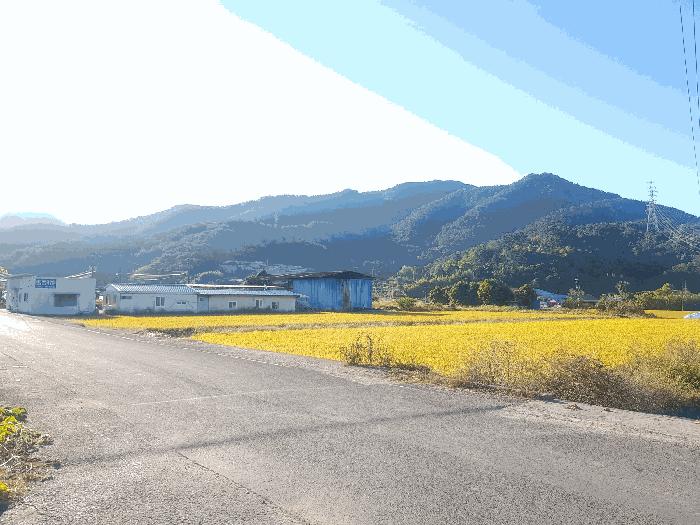 경상남도 사천시 서포면 다평리 1432-8 답 경매 사진 1