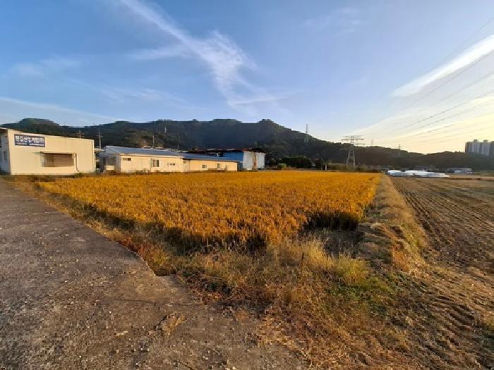 경상남도 사천시 서포면 다평리 1432-8 답 경매 사진 6