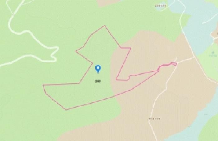 경상남도 산청군 신등면 양전리 산60 임야 경매 사진 10