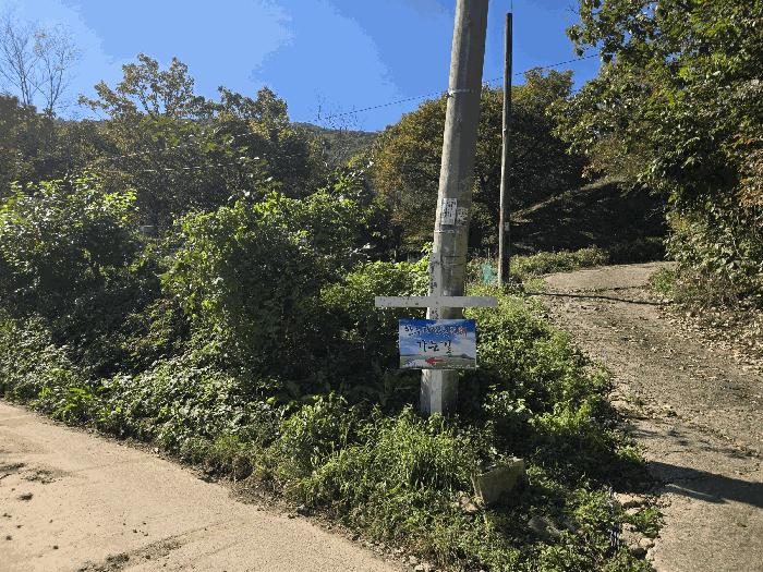 경상남도 산청군 신등면 양전리 산60 임야 경매 사진 2